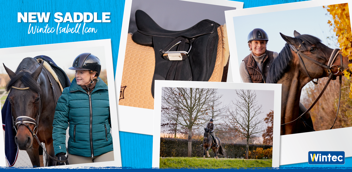Wintec Saddles